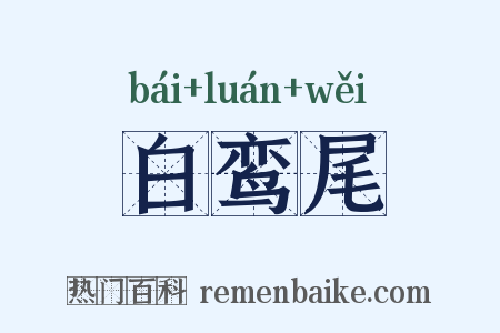 白鸾尾是什么意思的图片